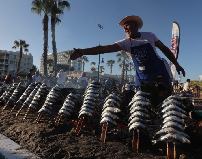 WhatsApp Image 2023-08-31 at 10.55.55