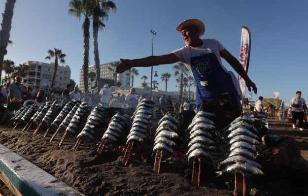 WhatsApp Image 2023-08-31 at 10.55.55